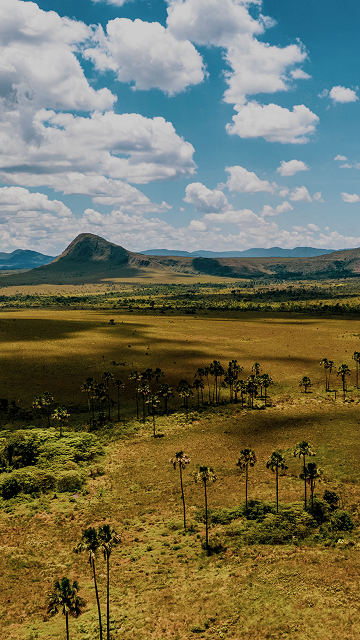 WWF Network Data Hub